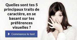 Quelles sont tes 5 principaux traits de caractère, en se basant sur tes préférences visuelles ?