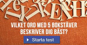 Vilket ord med 5 bokstäver beskriver dig bäst?