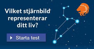 Vilket stjärnbild representerar ditt liv?