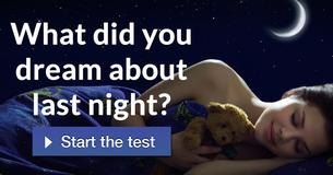 What did you dream about last night?