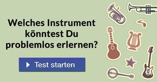 Welches Instrument könntest Du problemlos erlernen?
