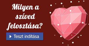 Milyen a szíved felosztása? 