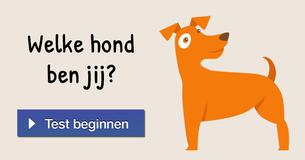 Welke hond ben jij?