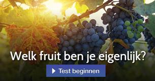 Welk fruit ben je eigenlijk?