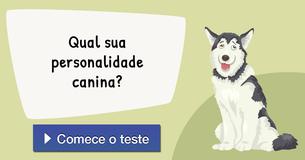 Qual sua personalidade canina?