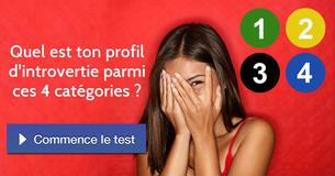 Quel est ton profil d'introvertie parmi ces 4 catégories ?