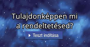 Tulajdonképpen mi a rendeltetésed?