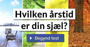 Hvilken årstid er din sjæl?