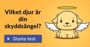 Vilket djur är din skyddsängel?