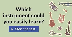 Which instrument could you easily learn?