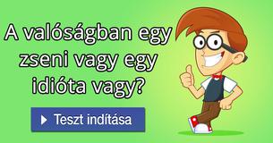 A valóságban egy zseni vagy egy idióta vagy?   