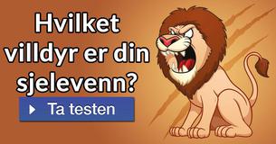 Hvilket villdyr er din sjelevenn?