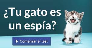 ¿Tu gato es un espía?