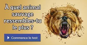 À quel animal sauvage ressembles-tu le plus ?