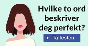 Hvilke to ord beskriver deg perfekt?