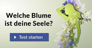 Welche Blume ist deine Seele?