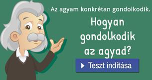 Hogyan gondolkodik az agyad?