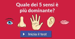 Quale dei 5 sensi è più dominante? 