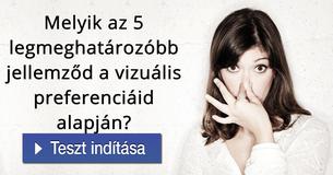 Melyik az 5 legmeghatározóbb jellemz?d a vizuális preferenciáid alapján?