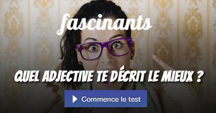 Quel adjectif te décrit le mieux ?