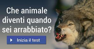 Che animale diventi quando sei arrabbiato?