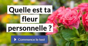 Quelle est ta fleur personnelle ?