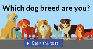 Which dog breed are you?