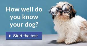How well do you know your dog?