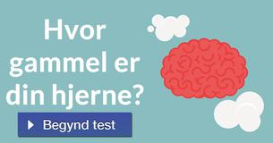 Hvor gammel er din hjerne?