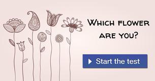 Which flower are you?