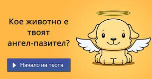 Кое животно е твоят ангел-пазител?