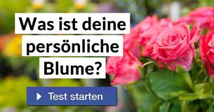 Was ist deine persönliche Blume?