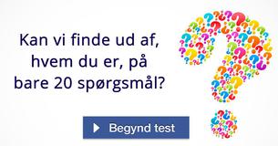 Kan vi finde ud af, hvem du er, på bare 20 spørgsmål?