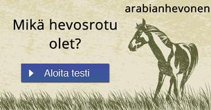 Mikä hevosrotu olet?