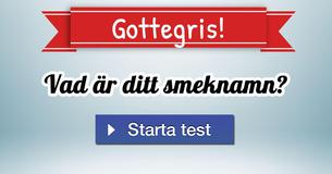 Vad är ditt smeknamn?