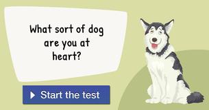 What sort of dog are you at heart?