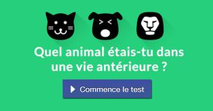 Quel animal étais-tu dans une vie antérieure ?