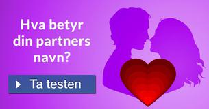 Hva betyr din partners navn?