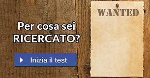 Per cosa sei RICERCATO?