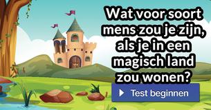 Wat voor soort mens zou je zijn, als je in een magisch land zou wonen? 