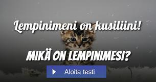 Mikä on lempinimesi?