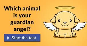 Which animal is your guardian angel?