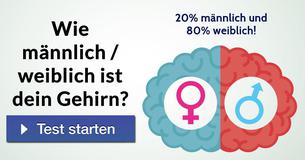 Wie männlich / weiblich ist dein Gehirn? 