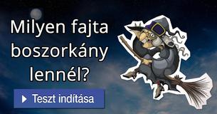 Milyen fajta boszorkány lennél?