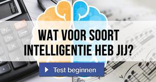 Wat voor soort intelligentie heb jij?