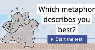 Which metaphor describes you best?