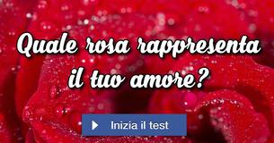 Quale rosa rappresenta il tuo amore?