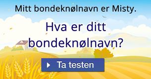 Hva er ditt bondeknølnavn?