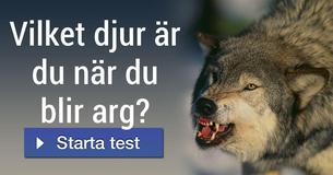 Vilket djur är du när du blir arg?