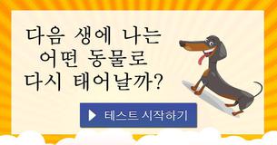 다음 생에 나는 어떤 동물로 다시 태어날까?